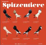Spitzentiere (Copy)
