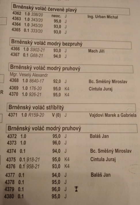 05_Katalog