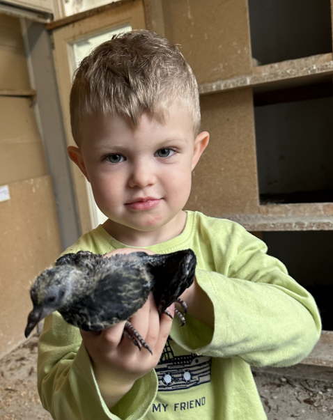 bei Florian -der Nachwuchs