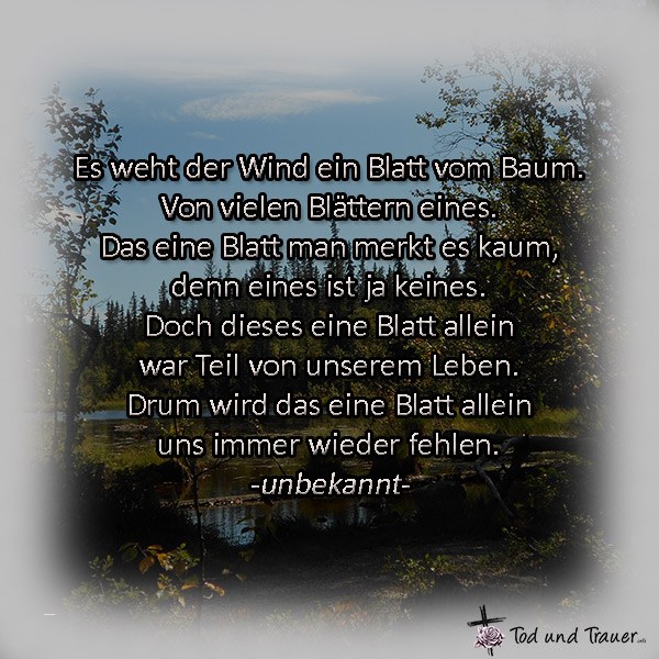 trauerspruch - 2